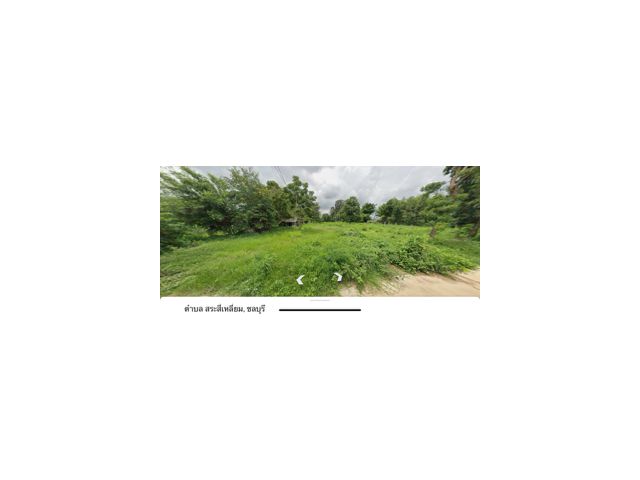 ขายที่ดิน ติดถนน สาธารณะ2ฝั่ง ใกล้ถนน331ต.หัวถนน อ.พนัสนิคม จ.ชลบุรี