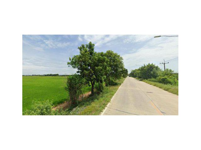 ขายทีดิน 51 ไร่ ติดถนนสองด้าน อ.สามโคก จ.ปทุมธานี