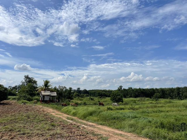 ขายที่ดินวังตะเคียน 103 ไร่ ติดคลองซอยโรงเรียนบ้านคลองระกำ ใกล้อบต.วังตะเคียน5กม. อ.กบินทร์บุรี