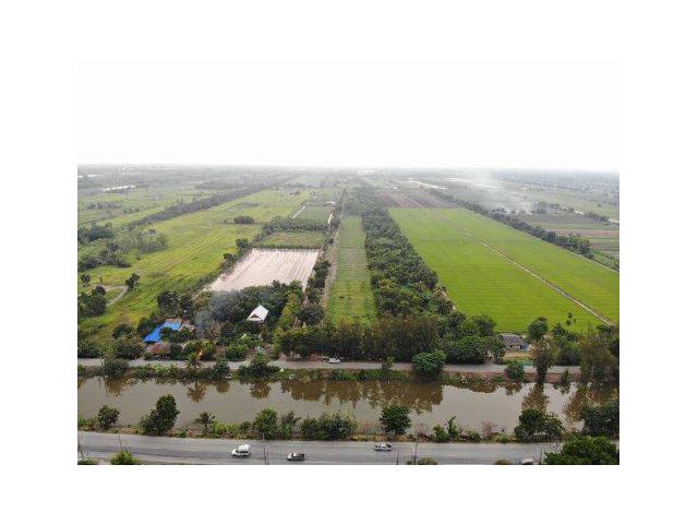 ขายที่ดิน 3 ไร่ คลอง 10 ตรงข้ามการไฟฟ้าส่วนภูมิภาค หนองเสือ อ.หนองเสือ จ.ปทุมธานี