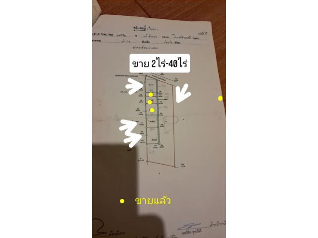 ขายสด,ผ่อนไม่มีดอกเบี้ย พร้อมโอน