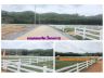 (โฉนด) ที่ดิน 200-600 ตรว. (เงินสดและผ่อน) พร้อมรั้วคาวบอย 4 ด.(บรรยากาศวิวภูเขา อ.ด่านช้าง) หล้งเขื่อนกระเสียว ถนน ไฟฟ้า น้ำ ต.นิคมกระเสียว จ.สุพรรณฯ