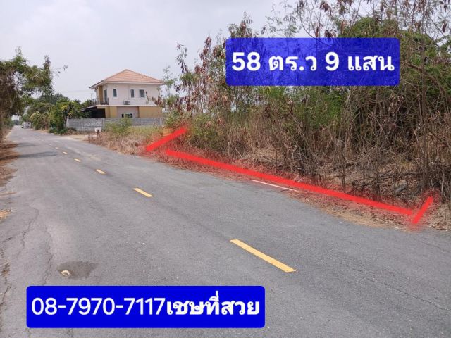 ○●○●○●ใกล้ถนนเส้นไทรน้อย เกลี่ยสะอาดให้ครับ 58 ตร.ว ที่ถมแล้ว 900000 รวมค่าโอน ●○●○●•