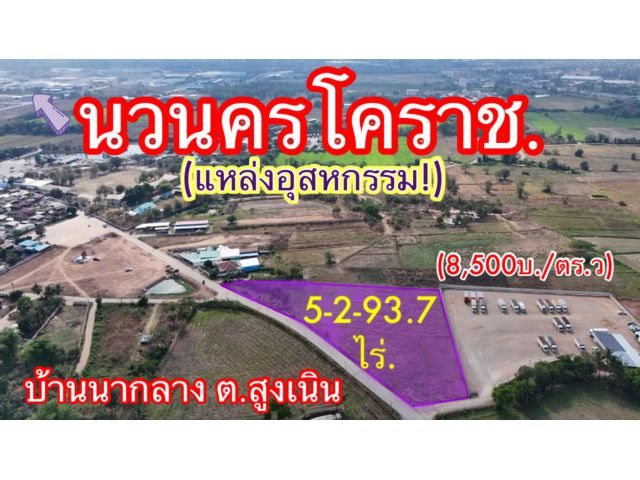 #ขายที่ดินหลังนวนครสูงเนินโคราช (ใกล้วงแหวนฯ)  5-2-93.7 ไร่. (8,500บ. /วา ติดบริษัทเครือพูลทรัพย์ ต.นากลาง อ.สูงเนิน