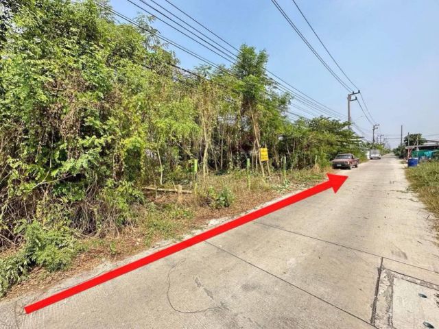 **ขายด่วน**ที่ดินถมแล้ว 75 ตรว. ซ.บงกช 43 ขายถูกมาก **