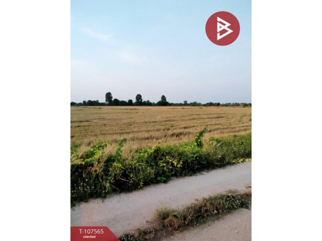 ขายที่ดิน เนื้อที่ 10 ไร่ พนัสนิคม ชลบุรี