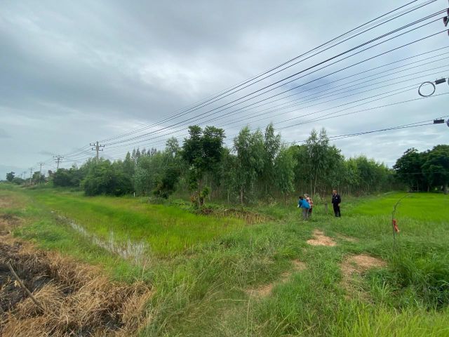 ขายที่ดินยกแปลงชัยภูมิ ภูเขียว ติดถนนใหญ่ รถผ่านตลอดเวลา วิวธรรมชาติสวย