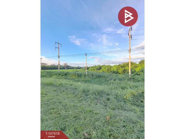 ขายที่ดิน เนื้อที่ 3 งาน 3 ตร.วา บางมัญ สิงห์บุรี