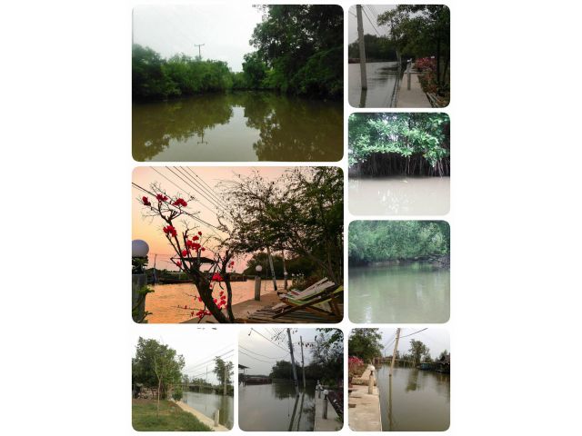ขายที่ดินริมน้ำ คลองโคน สมุทรสงคราม