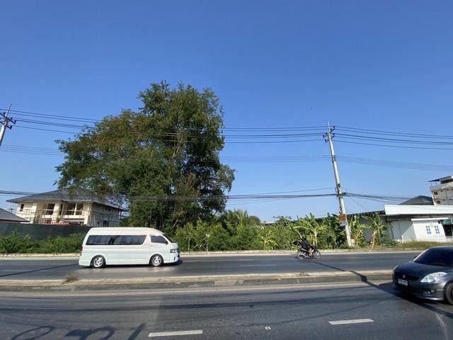 41-1 ขายที่ดิน 400 ตร.ว. นครปฐม ศาลายา พุทธมณฑลติดถนน 4 เลน ด้านหลังติดคลองนราภิรมย์ ใกล้ ร.ร.พระตำหนักสวนกุหลาบ ตลาดกิเ