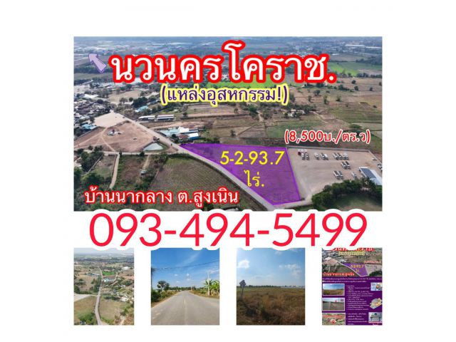 #ขายที่ดินหลังนวนครสูงเนินโคราช (ใกล้วงแหวนฯ)  5-2-93.7 ไร่. (8,500บ. /ตร.ว.) ติดบริษัทเครือพูลทรัพย์ ต.นากลาง อ.สูงเนิ
