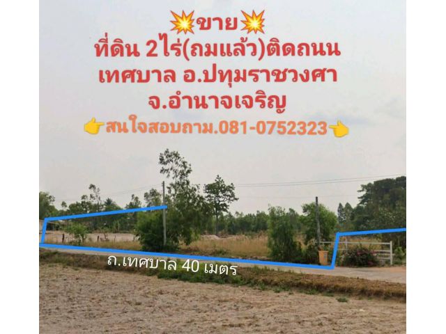 สวยมากๆ เหมาะมากที่ดินเปล่า 2 ไร่ อ.ปทุมราชวงศา จ.อำนาจเจริญ สวย ถมไว้แล้ว