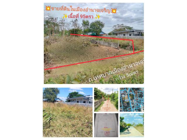 สวยมากๆๆๆ ที่ดินแปลงเล็กเหมาะสร้างบ้านในเมืองอำนาจเจิรญ