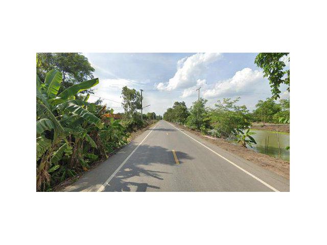ขายที่ดิน 100 ไร่ ติดถนนเลียบคลองสิบเอ็ด อ.หนองเสือ จ.ปทุมธานี