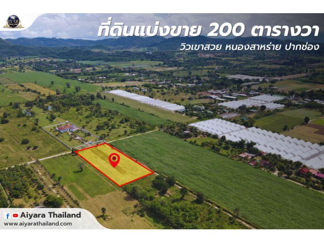 ที่ดินเขาใหญ่ แบ่งขายเริ่มต้น 200 ตารางวา  วิวเขาสวย