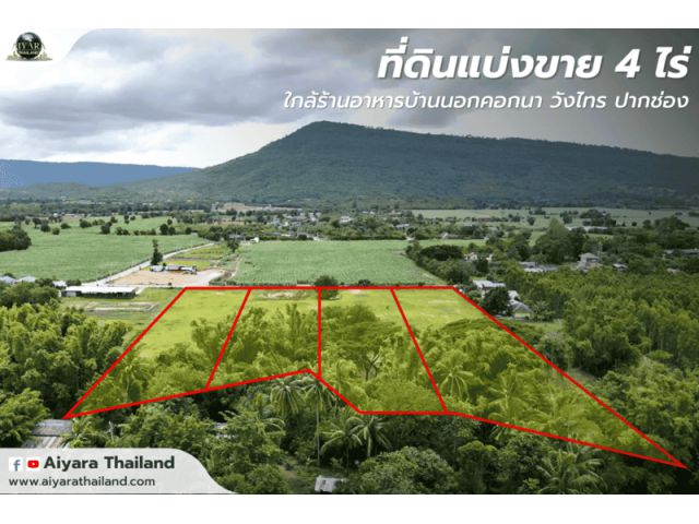 ที่ดินเขาใหญ่ 15 ไร่ (แบ่งขายเริ่มต้นแปลงละ 4 ไร่กว่า)