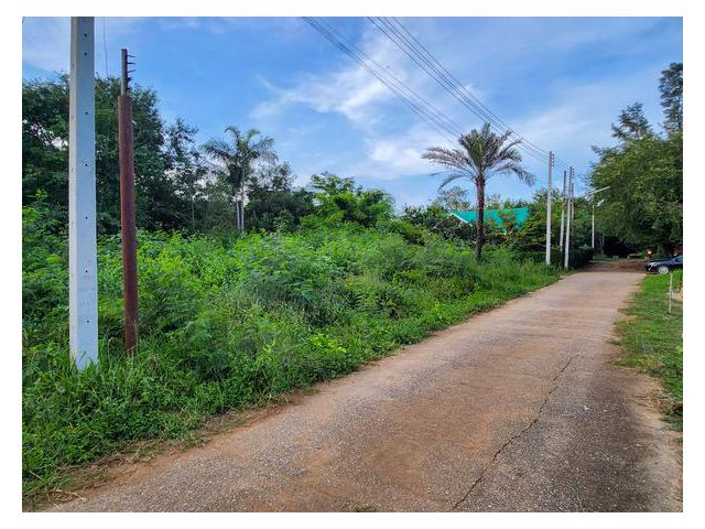 ขาย : ที่ดินโฉนด แปลงสวย โซนเขาใหญ่ ใกล้โบนันซ่า ราคาไม่ถึงล้าน