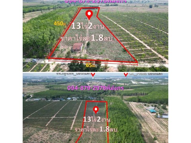 #เสนอขายที่ดินมาบยางพรปลวกแดงระยอง ที่ดิน13ไร่ มาบยางพร อ.ปลวกแดง จ.ระยอง ติดถนนคอนกรีตกว้าง 6เมตร มีไฟฟ้าน้ำพร้อม