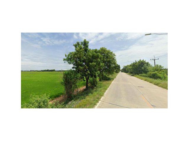 ขายทีดิน 51 ไร่ ติดถนนสองด้าน อ.สามโคก จ.ปทุมธานี
