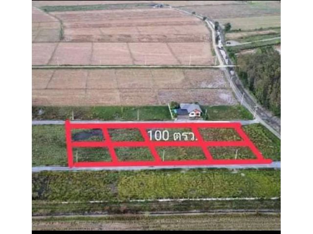 ที่ดินเปล่า 100 ตรว. วิวทุ่งนาและภูเขา สำหรับสร้างบ้าน เงียบสงบ ใกล้แหล่งสาธารณูปโภค
