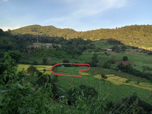 ที่ดินเนินสวน 1.2.6 ไร่ ติดลำห้วย วิวภูเขา บรรยากาศธรรมชาติ เหมาะสร้างบ้าน