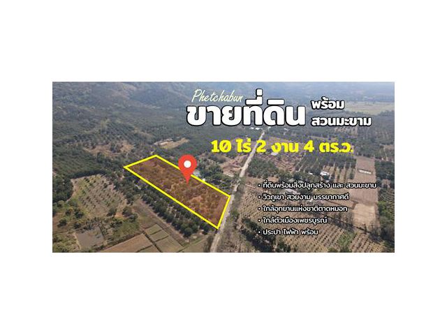 ขายรีสอร์ท น้ำตกตาดหมอก อุทยานแห่งชาติตาดหมอก เมืองเพชรบูรณ์ เพชรบูรณ์
