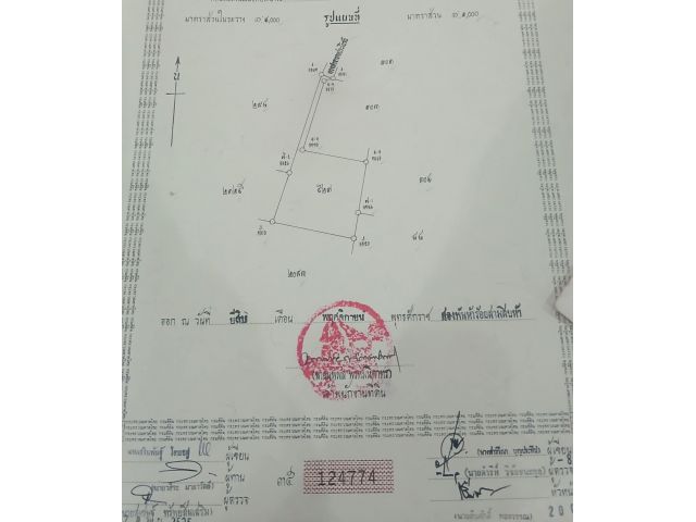 ขายที่ดินราคาถูก 384 ตรว ตารางวาละ 6600 บาท บ้านสันคือ หนองผึ้ง ใกล้วงแหวนรอบสอง