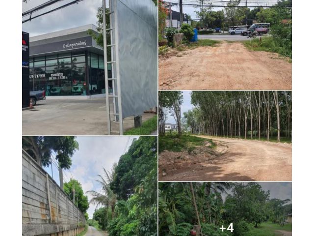 #A0219	สวนผสม	ต.คอหงส์	อ.หาดใหญ่	ติดถนน	ซอย	หน้ากว้าง	39 เมตร	พื้นที่	1ไร่  3งาน  17 ตรว.