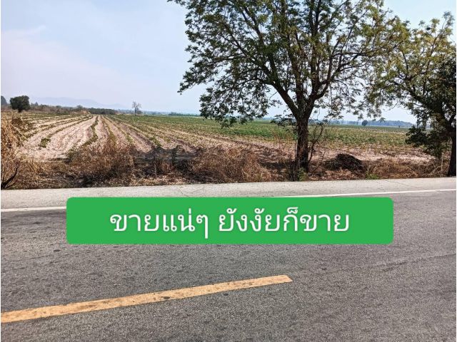 นานาทัศนะที่มีความคิดเห็น แต่เป็นจริงแน่นอนราคานี้ ตรงนี้ ขณะนี้ พร้อมที่จะให้สำหรับใครที่ใจยอมรับ จริงจึงจบ
