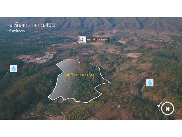 ประกาศขายด่วน! ที่ดิน 60 ไร่ บ้านแดนพนา ตำบลพญาแก้ว อำเภอเชียงกลาง จังหวัดน่าน