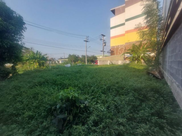 ที่ดินหลักหก ขายด่วน ที่ดินแปลงสวย 65 ตร.ว.ติดสถานนีรถไฟฟ้าหลักหก ใกล้ม.รังสิต ใกล้สนามบินดอนเมือง ใกล้ตลาดสี่มุมเมือง