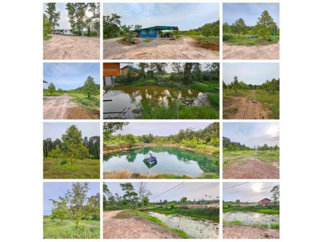 ขายสวนทุเรียน บ้านทุ่งสน ตำบลรำพัน อำเภอท่าใหม่  จันทบุรี