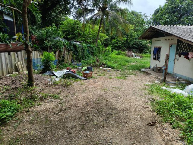 บ้านสวน 200 ตรว. แม่แฝกใหม่ สันทราย ราคาถูก เงียบสงบ น้ำไม่ท่วม