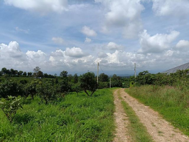 ที่ดินสวนมะม่วงวิวภูเขา 11 ไร่ ราคาพิเศษ เหมาะทำบ้านสวนและเกษตร