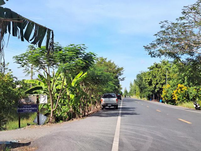 ขายที่ดินหนองเสือ 4 ไร่  ชุมชนหมู่ 6 พัฒนา คลอง14  ปทุมธานี