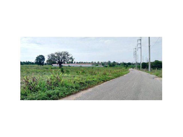 ขายที่ดิน 48 ไร่ ต.หนองปลาไหล อ.บางละมุง จ.ชลบุรี