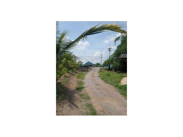ขายที่ดิน 2 ไร่ ติดแม่น้ำนครชัยศรี ต.บางเลน อ.บางเลน จ.นครปฐม