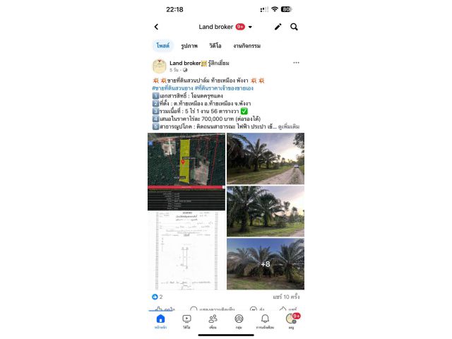 Land for sale!!! ขายที่ดินสวนปาล์ม ท้ายเหมือง 5-1-56ไร่ ขายไร่ละ700,000บาท