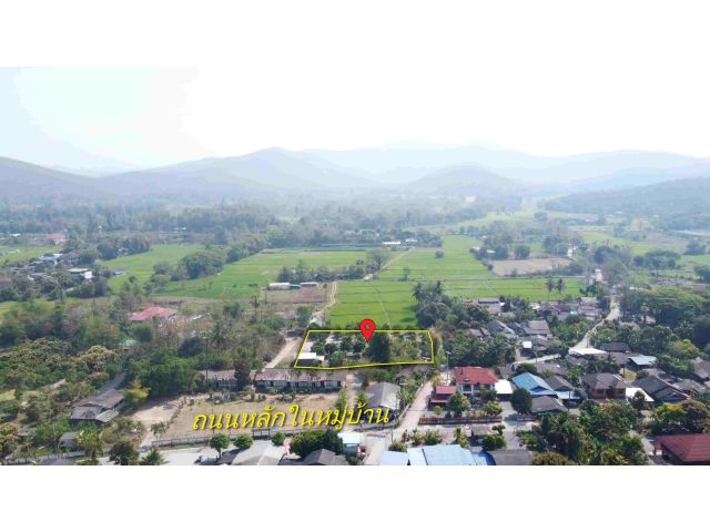 ที่ดินสวนลำไย 1-1-25 ไร่ วิวภูเขา ติดถนนคอนกรีต 2 ด้าน