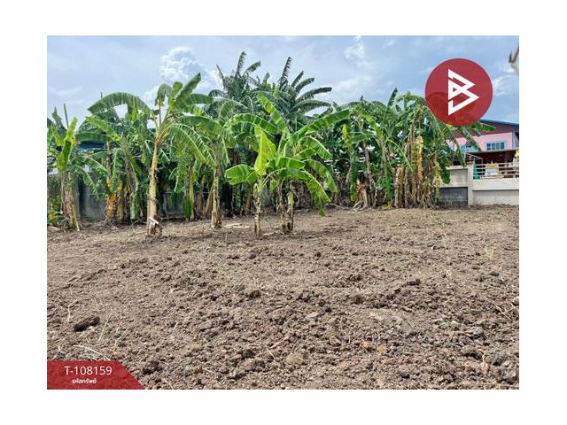 ทีดินถมเเล้ว เนื้อที่ 1 งาน 0.9 ตร.วา บางบัวทอง นนทบุรี