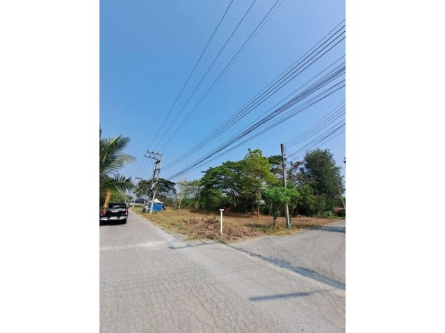 ขายที่ดินตำบลต้นเปาสันกำแพงใกล้บ่อสร้างพร้อมโอน