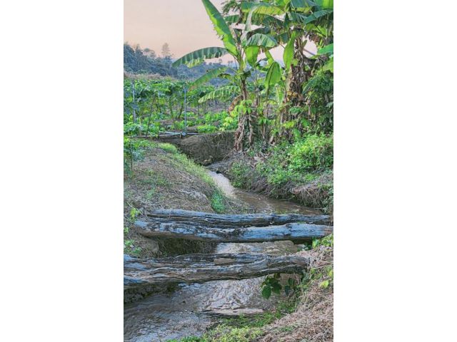 ขายที่ดินตำบลแม่นะเชียงดาวติดลำธารวิวดอยหลวงพร้อมโอน