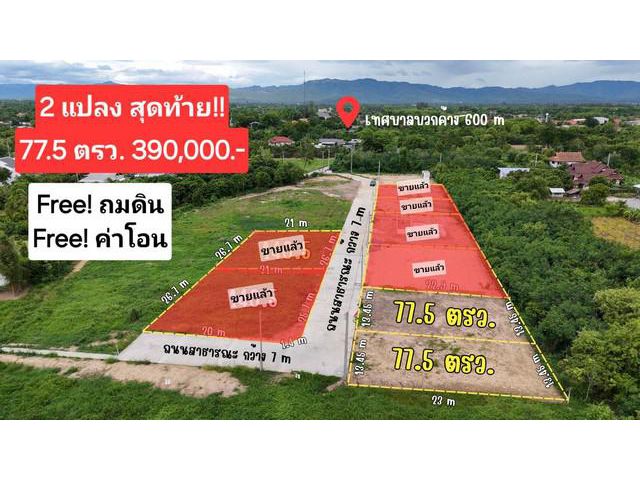 ขายที่ดิน77.5ว. 350,000บ. สาธารณูปโภค บวกค้าง สันกำแพง เชียงใหม่