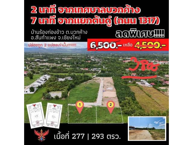 ขายที่ดินเริ่ม77.5ว. 350,000บ. ผ่อนได้ บวกค้าง สันกำแพง เชียงใหม่