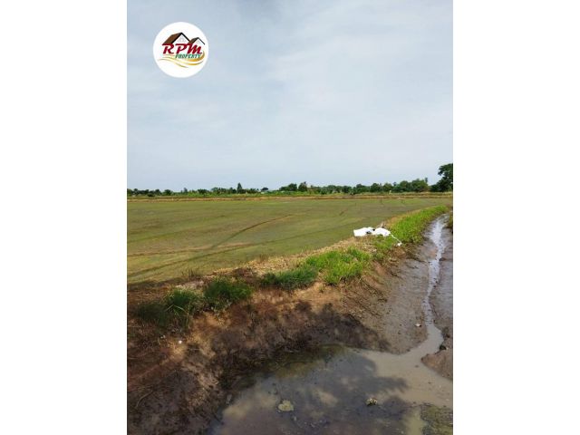 ขายที่นา อยู่หลังเทศบาลหันคา เขตอำเภอหันคา จังหวัดชัยนาท เนื้อที่ 4 ไร่