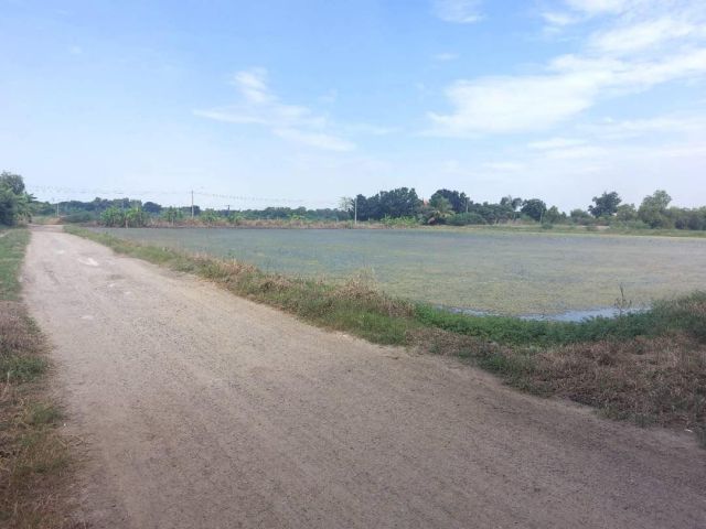 ขายที่ดิน 398 ตร.ว. พุทธมณฑล นครปฐม