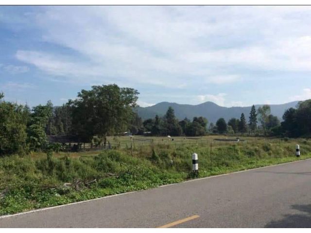 ขายที่ดินบ้านแม่โป่งดอยสะเก็ตวิวดอยติดถนนผังเมืองสีเขียวราคาถูก