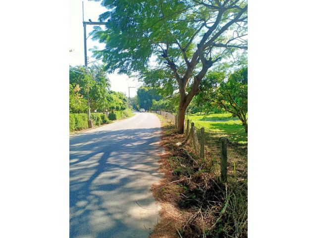 ขายที่ดินหลังมหาวิทยาลัยแม่โจ้ผังเมืองสีเขียวพร้อมโอน