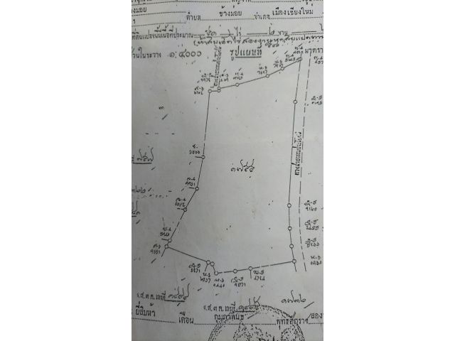 ขายสวนลำใยสันทรายใกล้มหาวิทยาลัยแม่โจ้ผังสีเขียวราคาถูก