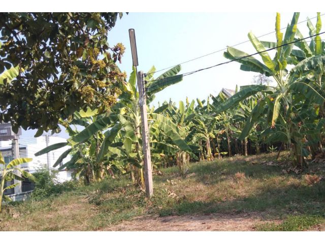 ขายที่ดินในหมู่บ้านโชตนานิเวศน์ห่างถนนหลัก 300 เมตร